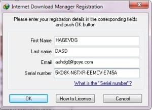 Internet download manager v6.31 serial key free